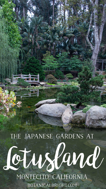 Japanese Gardens at Lotusland
