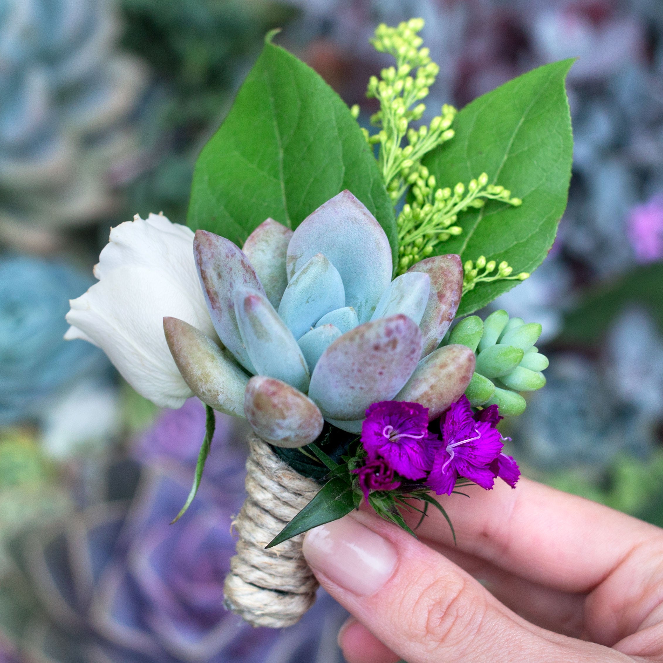 DIY Succulent Boutonniere  Botanical Bright
