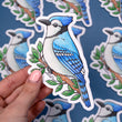 Load image into Gallery viewer, Blue Jay Waterproof Vinyl Sticker
