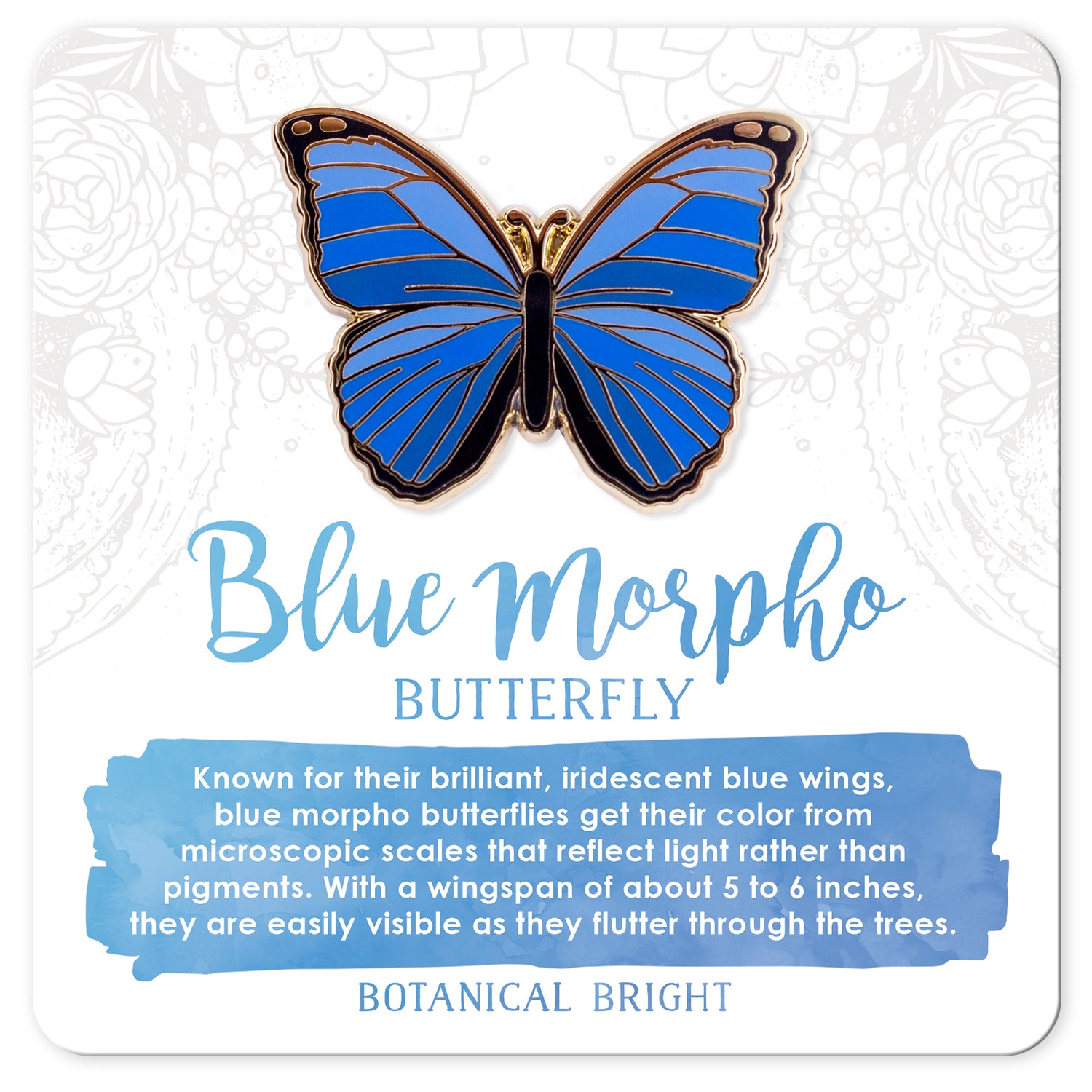 美麗モルフォ２種 Blue Morpho Butterfly Enamel Pin – Botanical Bright