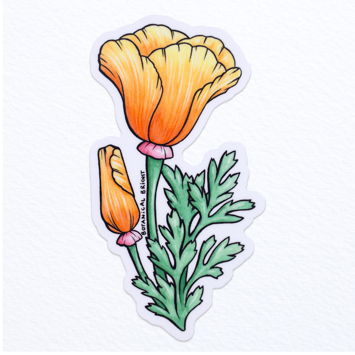 California Poppy Flower Waterproof Vinyl Sticker – Botanical Bright - Add a  Little Beauty to Your Everyday