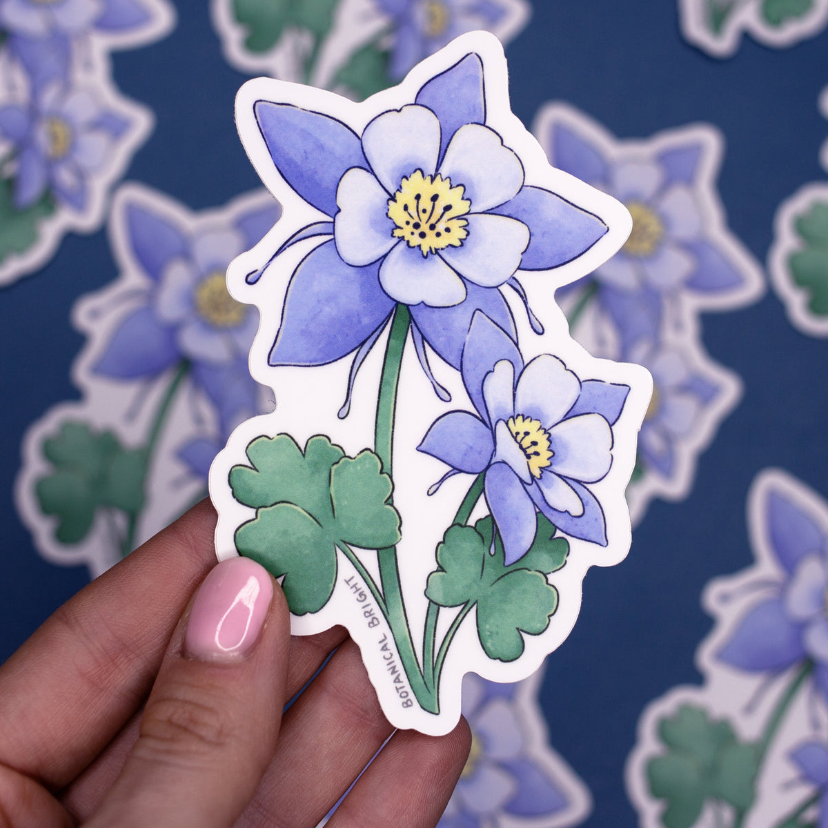 Colorado Blue Columbine Waterproof Vinyl Sticker