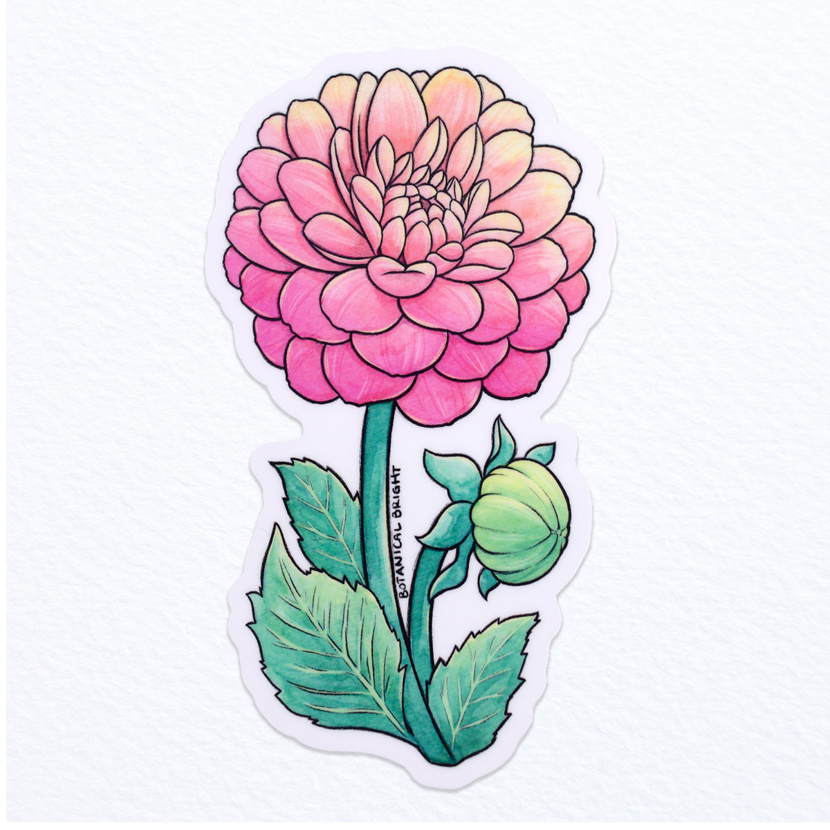 Dahlia Vinyl Waterproof Sticker – Botanical Bright - Add a Little Beauty to  Your Everyday