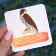 Load image into Gallery viewer, Hawk Enamel Pin