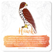 Load image into Gallery viewer, Hawk Enamel Pin