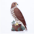 Load image into Gallery viewer, Hawk Waterproof Vinyl Sticker