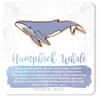 Load image into Gallery viewer, Humpback Whale Enamel Pin