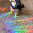 Load image into Gallery viewer, Sea Turtle Sun Catcher Rainbow Maker Window Sticker