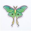 Load image into Gallery viewer, Luna Moth Waterproof Vinyl Sticker