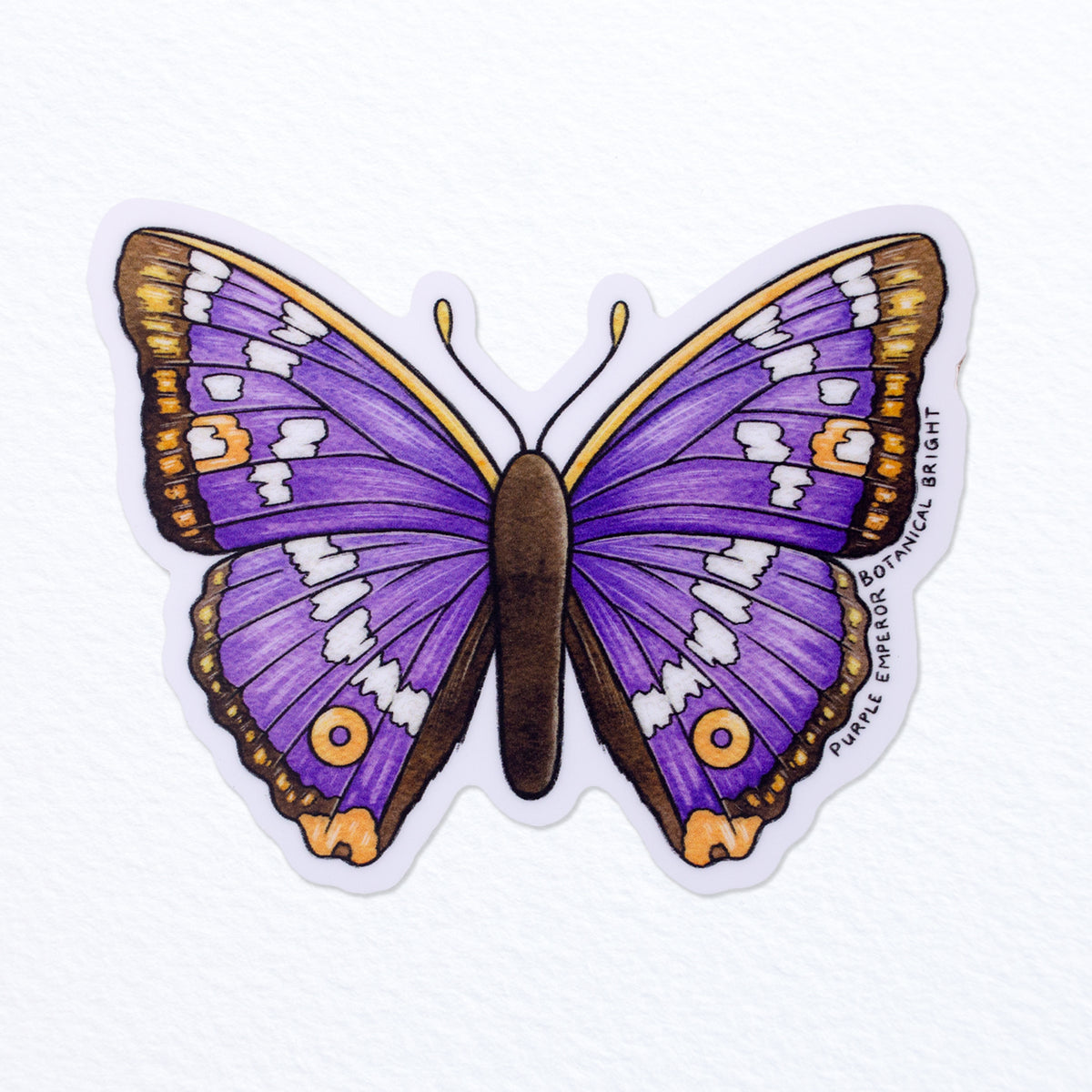 Purple Butterfly Beautiful - Vinyl Sticker Waterproof Decal