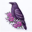 Load image into Gallery viewer, Raven Waterproof Vinyl Sticker