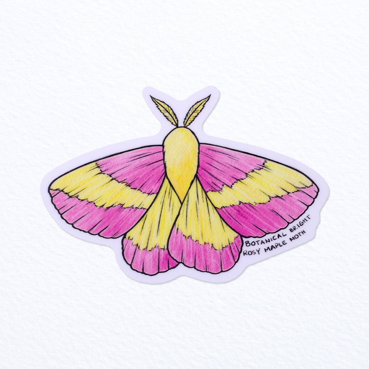 Rosy Maple Moth Waterproof Vinyl Sticker – Botanical Bright - Add a Little  Beauty to Your Everyday