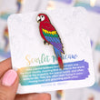 Load image into Gallery viewer, Scarlet Macaw Enamel Pin