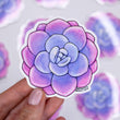 Load image into Gallery viewer, Succulent Echeveria Laui Waterproof Vinyl Sticker