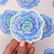 Load image into Gallery viewer, Succulent Echeveria Lola Waterproof Vinyl Sticker