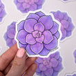Load image into Gallery viewer, Succulent Echeveria Perle Von Nurnberg Waterproof Vinyl Sticker
