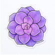 Load image into Gallery viewer, Succulent Echeveria Perle Von Nurnberg Waterproof Vinyl Sticker