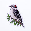 Load image into Gallery viewer, Downy Woodpecker Vinyl Sticker