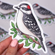 Load image into Gallery viewer, Downy Woodpecker Vinyl Sticker