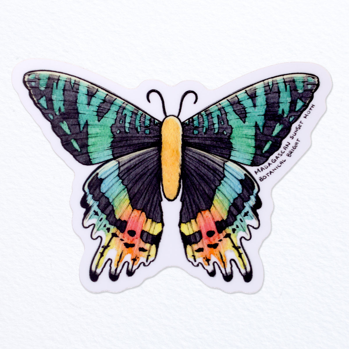 Night Moth Sticker