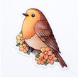 Load image into Gallery viewer, Robin Bird Waterproof Vinyl Sticker