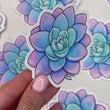 Load and play video in Gallery viewer, Succulent Graptoveria Opalina Waterproof Vinyl Sticker