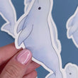 Load and play video in Gallery viewer, Beluga Whale Waterproof Vinyl Sticker