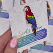 Load and play video in Gallery viewer, Scarlet Macaw Enamel Pin