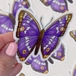 Load and play video in Gallery viewer, Purple Emperor Butterfly Waterproof Vinyl Sticker