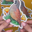 Load and play video in Gallery viewer, Quail Vinyl Waterproof Sticker
