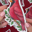 Load and play video in Gallery viewer, Cardinal Waterproof Vinyl Sticker