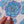 Succulent Echeveria Blue Bird Waterproof Vinyl Sticker