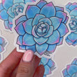 Load and play video in Gallery viewer, Succulent Echeveria Blue Bird Waterproof Vinyl Sticker