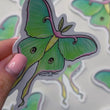 Load and play video in Gallery viewer, Luna Moth Waterproof Vinyl Sticker