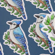 Load and play video in Gallery viewer, Blue Jay Waterproof Vinyl Sticker
