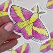 Load and play video in Gallery viewer, Rosy Maple Moth Waterproof Vinyl Sticker