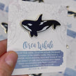 Load and play video in Gallery viewer, Orca Whale Enamel Pin