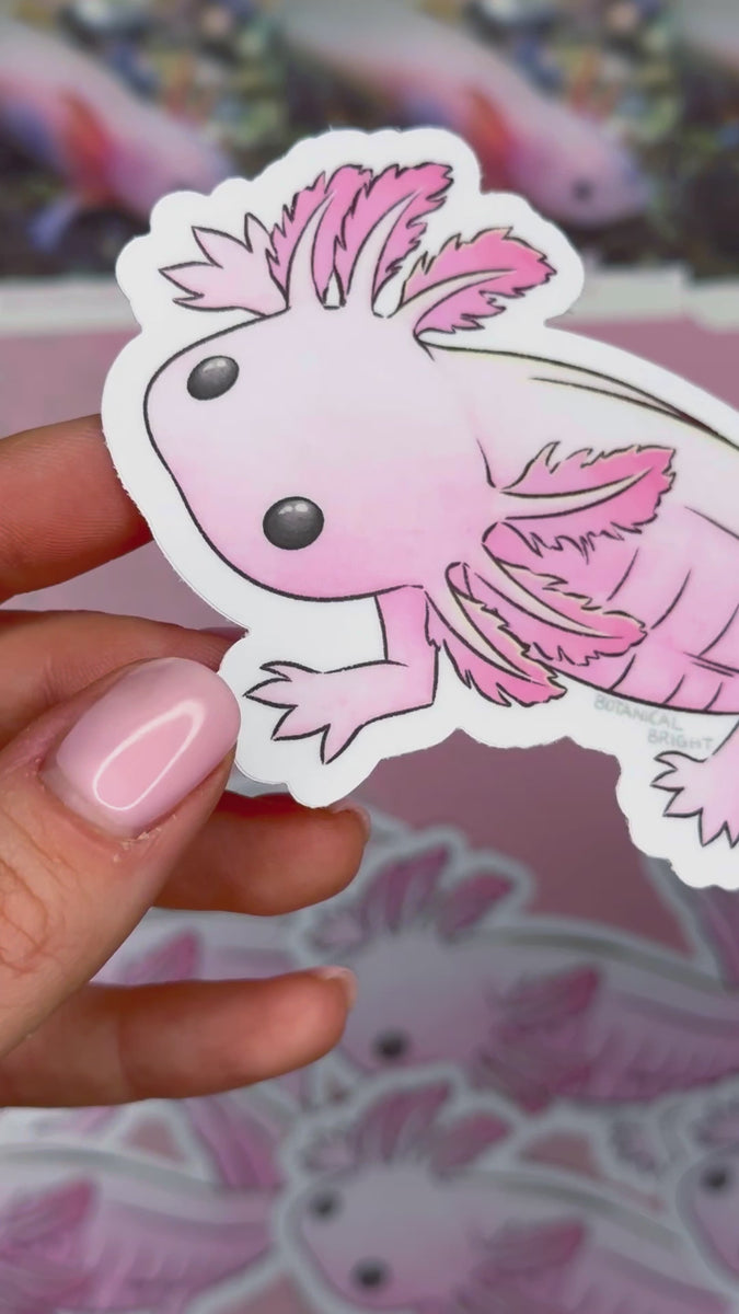 Axolotl Waterproof Vinyl Sticker – Botanical Bright