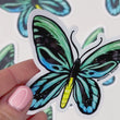 Load and play video in Gallery viewer, Queen Alexandra's Birdwing Butterfly Waterproof Vinyl Sticker