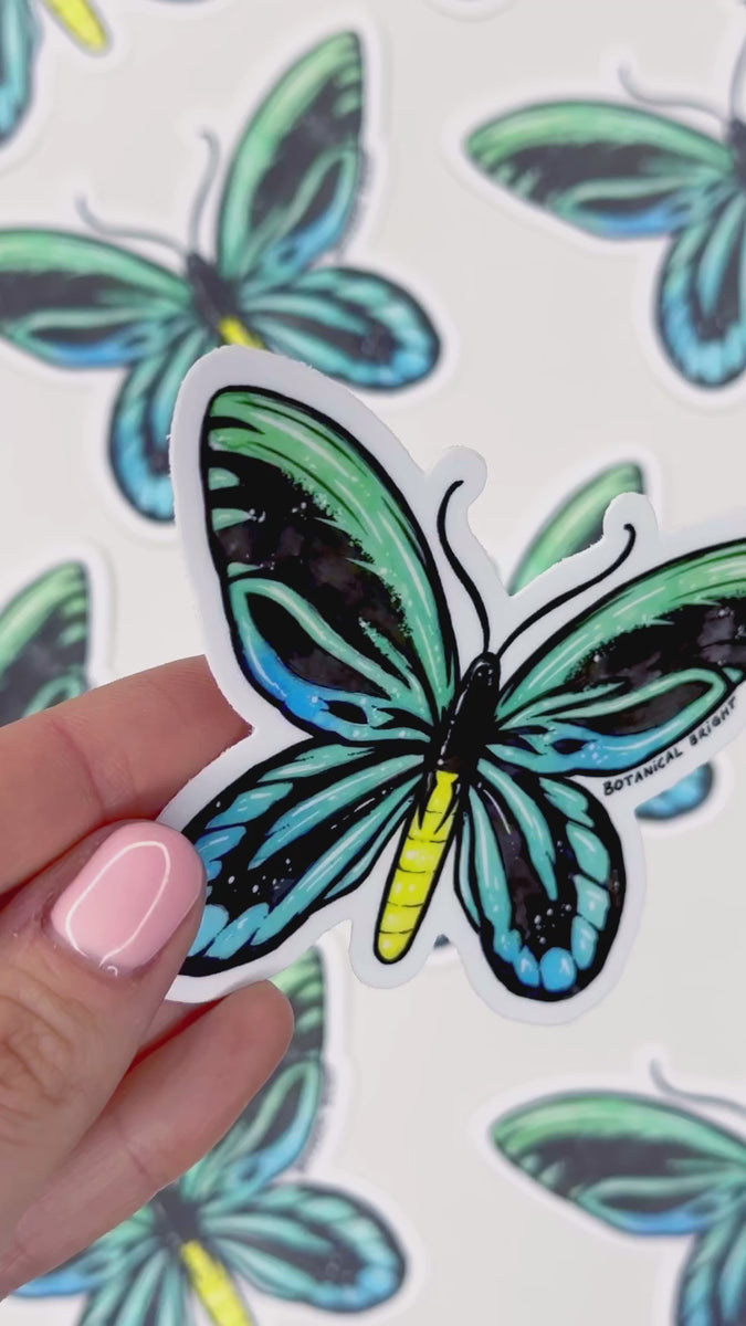Queen Alexandra's Birdwing Butterfly Waterproof Vinyl Sticker – Botanical  Bright - Add a Little Beauty to Your Everyday