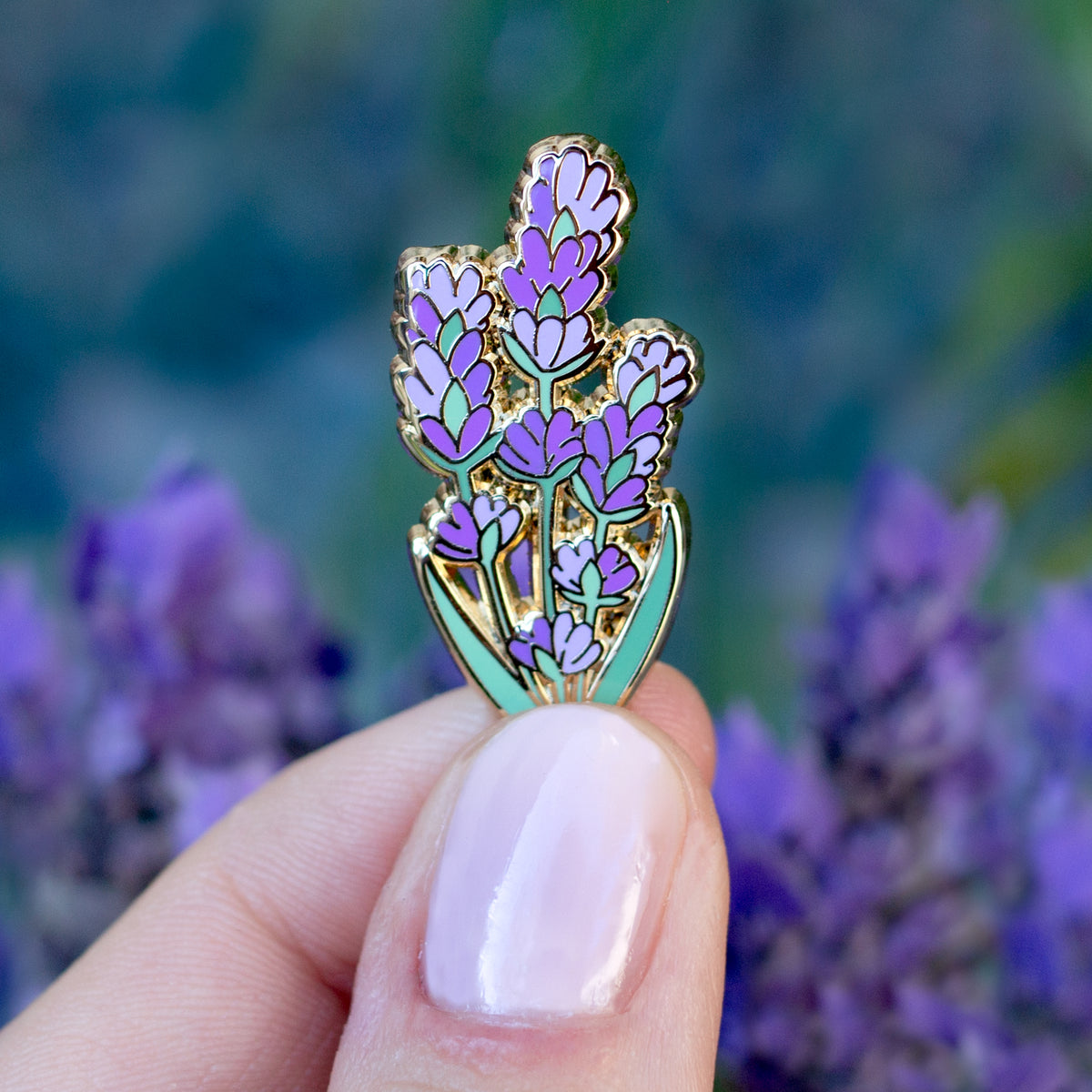 Pin on Lavender