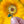 Sunflower Enamel Pin
