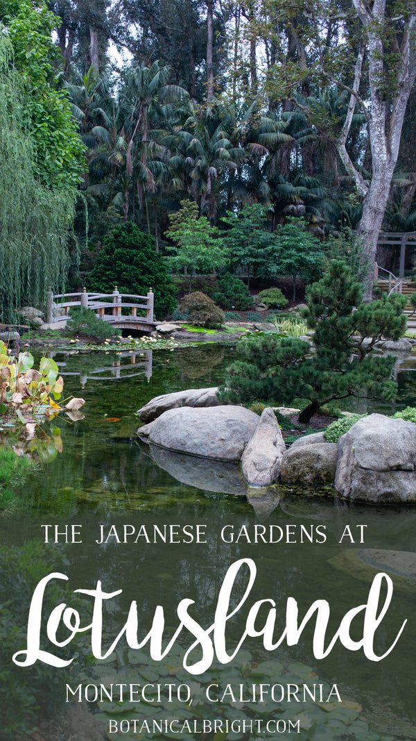 Japanese Gardens at Lotusland