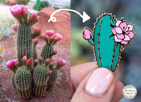 A 'lil about the Echinopsis Cactus!  Botanical Bright