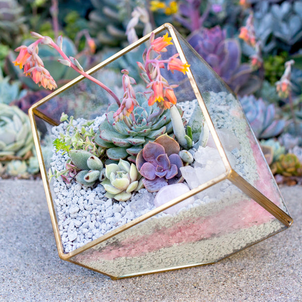 DIY Succulent Terrarium