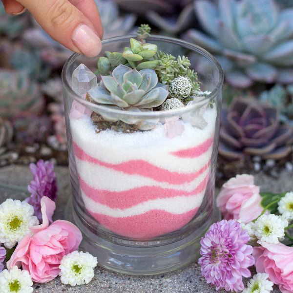 DIY Mini Succulent Sand Arrangement