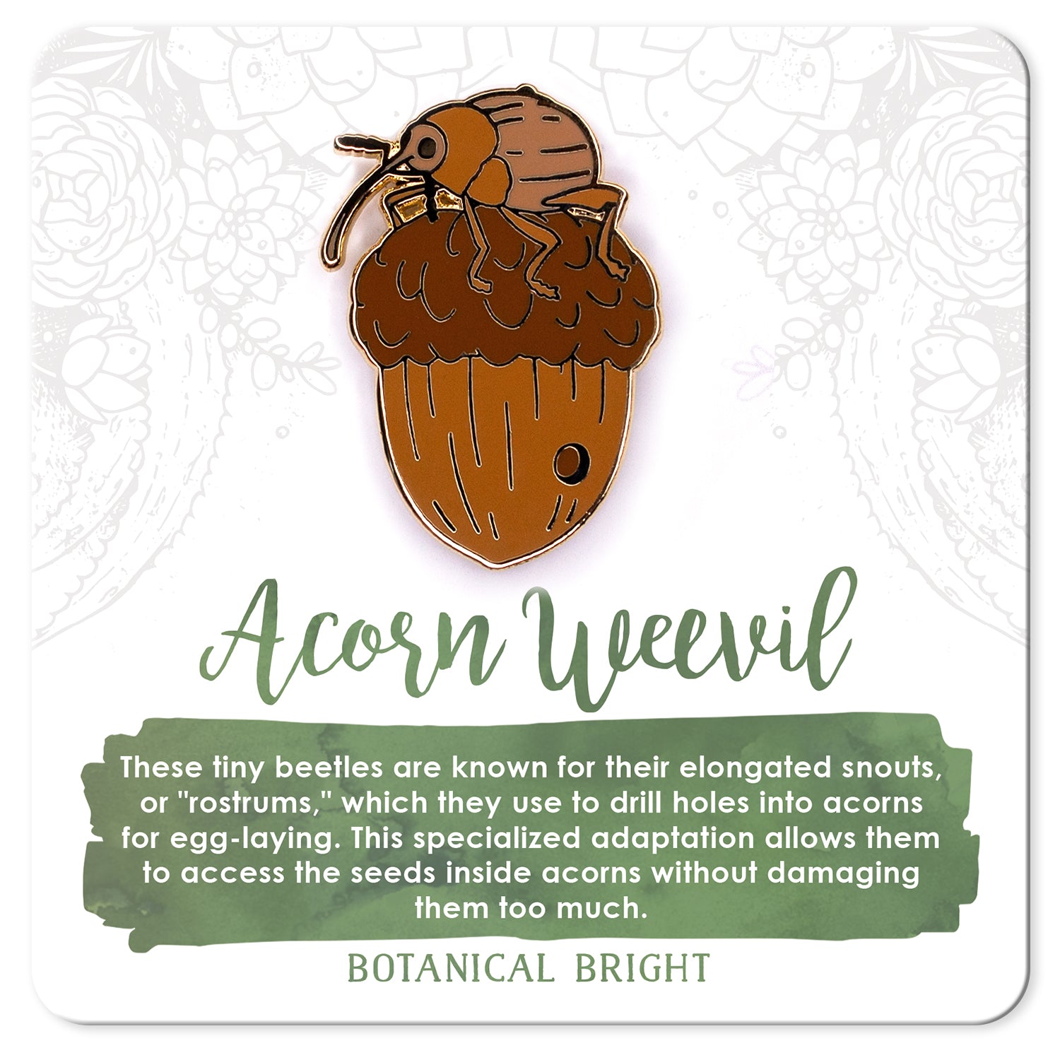 Acorn Weevil Enamel Pin