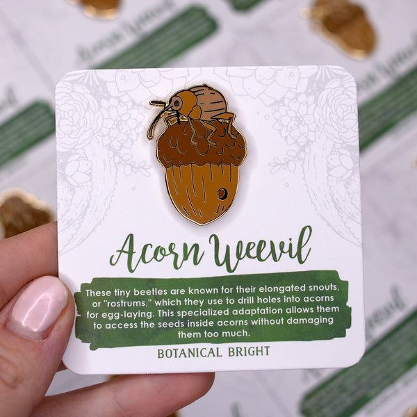 Acorn Weevil Enamel Pin