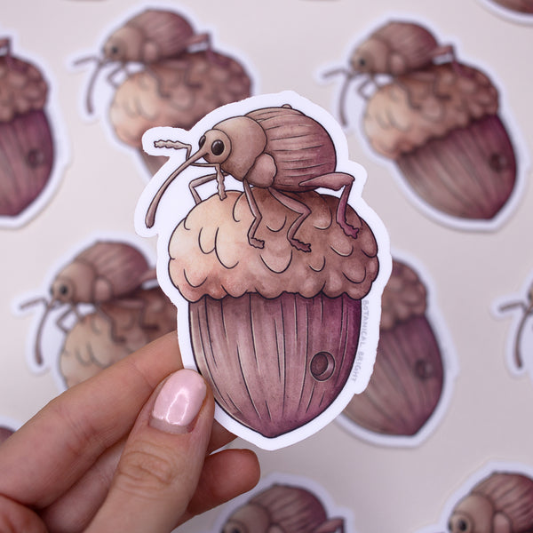 Acorn Weevil Waterproof Vinyl Sticker