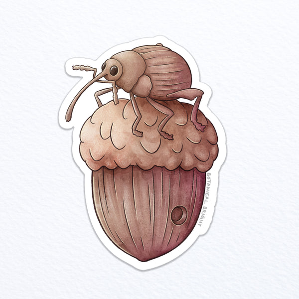 Acorn Weevil Waterproof Vinyl Sticker